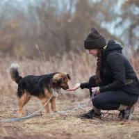 Kajko 1500/24