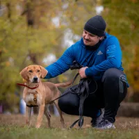 Kodi 0796/25
