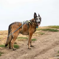 Fred 0880/22