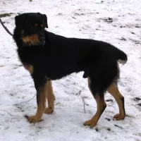 Miętus 0257/13