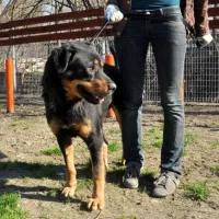 Miętus 0257/13