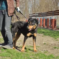 Miętus 0257/13