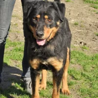 Miętus 0257/13