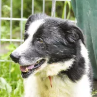 Marley 0485/05