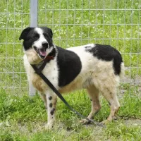 Marley 0485/05