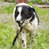 Marley 0485/05