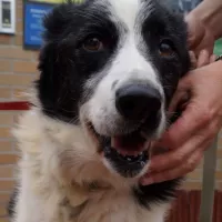 Marley 0485/05