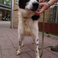 Marley 0485/05