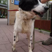 Marley 0485/05
