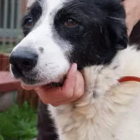 Marley 0485/05