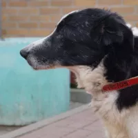 Marley 0485/05