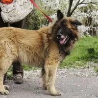 Bajkał 0695/13