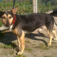 Jasper 1669/14/P