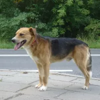 Rocky 0919/14