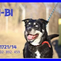 Bi-Bi 1721/14