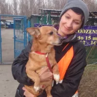 Bursztyn vel Miodzio 2415/14  2608/11