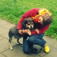 Pędzelek 0771/15