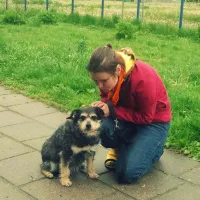 Pędzelek 0771/15