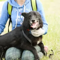 Lucuś 0199/07/P