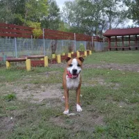 Gucio 0909/15