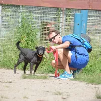 Bobik 0587/16 Bobik