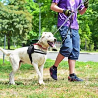 Scooby 0869/16
