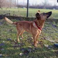 Missy 1608/24