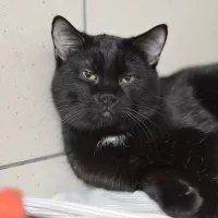 Rocky 0165/25