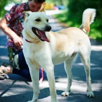 Balu 0549/17