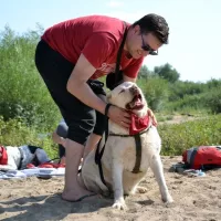 BUDDY (wym. Badi) 0354/17