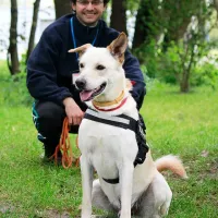 Balu 0549/17