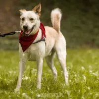 Balu 0549/17