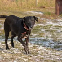Rollo 0242/14/P