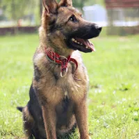 Eska 0918/18
