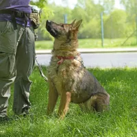 Eska 0918/18