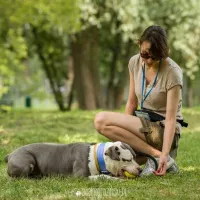 Zosia 2311/17