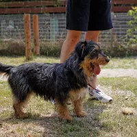 Guliwer 0867/18