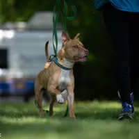 Rupert 0210/25