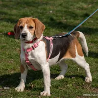 Betty 0225/25