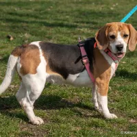 Betty 0225/25