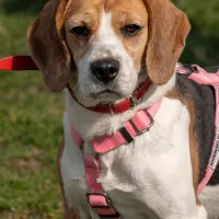 Betty 0225/25