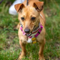Ginny 0279/25