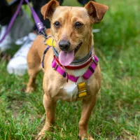 Ginny 0279/25