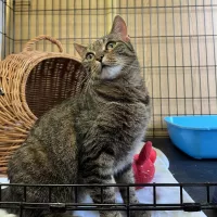 Kiki 0291/25