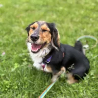 Bella 0400/25