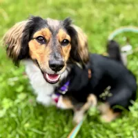 Bella 0400/25