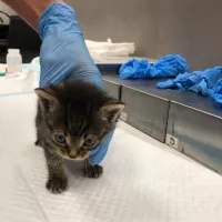 Mimi 0402/25
