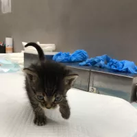 Mimi 0402/25