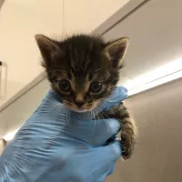 Mimi 0402/25