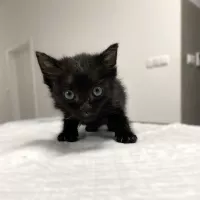 Missy 0403/25